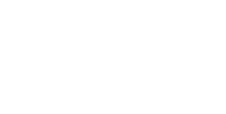 Stewarts white logo